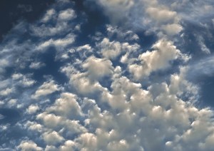 Photo by Sarah C. Campbell - sarahccampbel.com