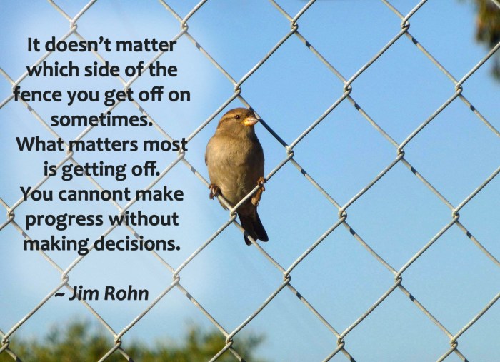 Bird On A Fence Desktop Background