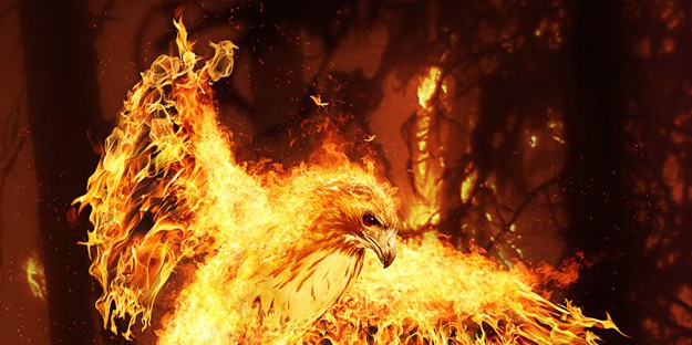 Blazing Phoenix by Supagray