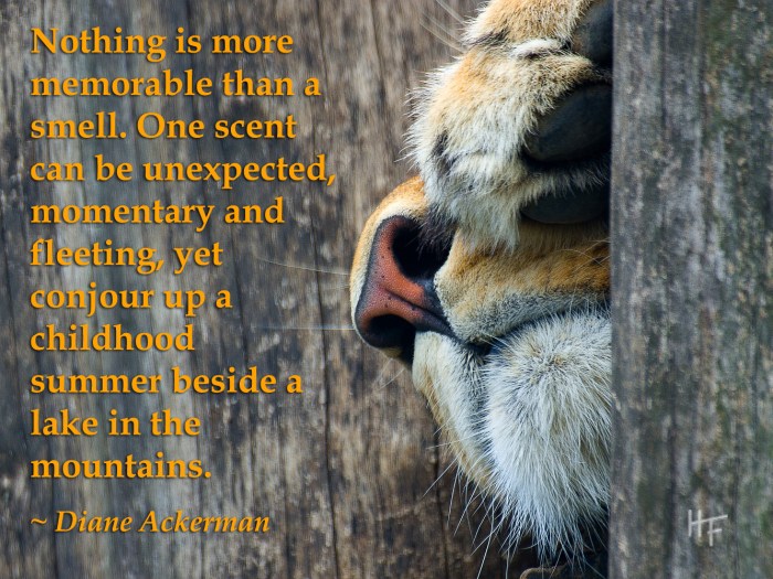 Image by charliechappy.com, Deviantart