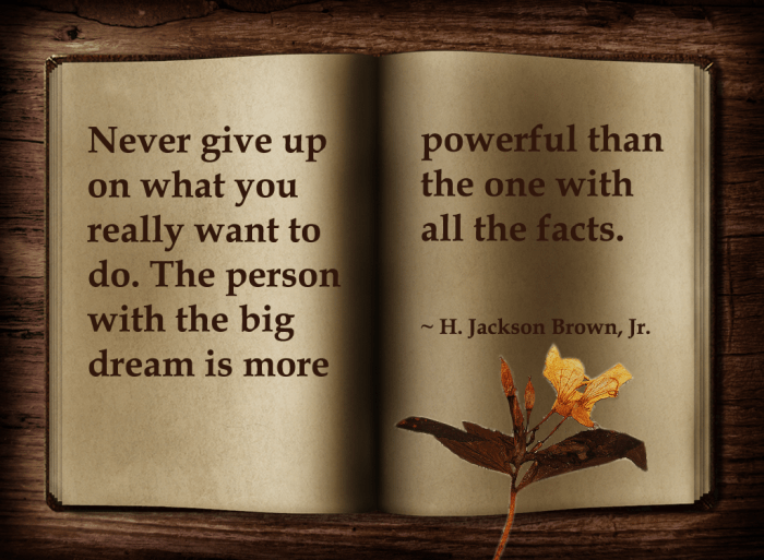 Open Book by liamnich88