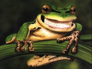 Cheesie Smile - Frog