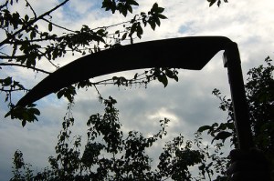 Image taken by Pot Noodle - Flickr, Creative Commons