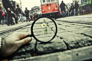 salihagir, deviantart.com - http://fav.me/d2o1bxz