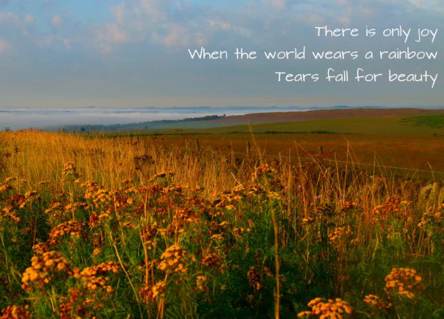 There is only joy when the world wears a rainbow, tears fall for beauty
