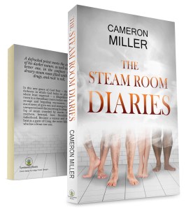 The Steam Room Diaries 3D large